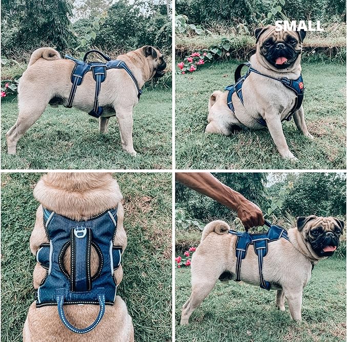 Tuff Pupper Escape Proof No Escape Dog Harness | 5 Point Adjustable Fit Harness for Dogs | Padded Dog Harnesses | Handle Dog Lift Harnesses