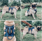 Tuff Pupper Escape Proof No Escape Dog Harness | 5 Point Adjustable Fit Harness for Dogs | Padded Dog Harnesses | Handle Dog Lift Harnesses