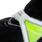Noxgear LightHound - Revolutionary Illuminated and Reflective Vest for Dogs Including Multicolored LED Fiber Optics (USB Rechargeable, Adjustable, Lightweight, Rainproof) (Medium)