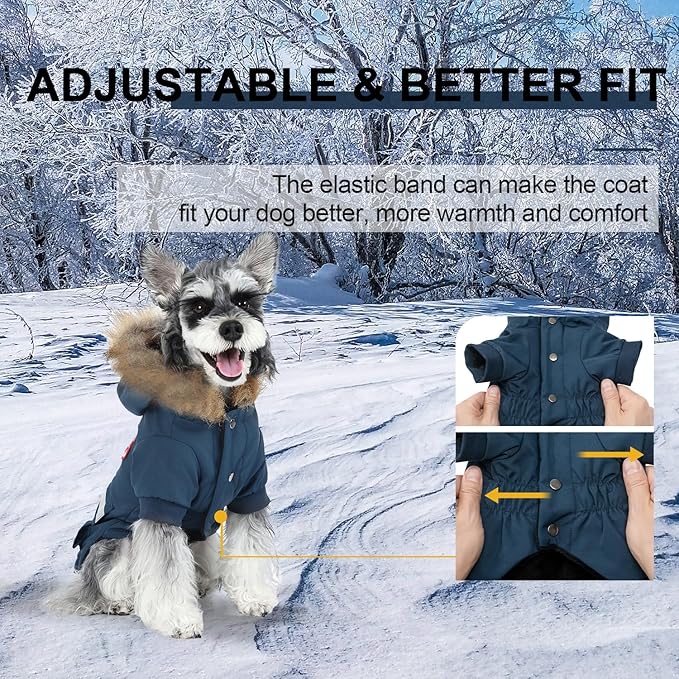 PINA Small Dog Coats - Waterproof, Warm Winter Jacket with Faux Fur Hood & Pocket