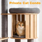 HITTITE Solid Wood Cat Tree Tower with Scratching Post, 61 Inches Tall Cat Towers with Capsule and Condo, Modern Cat Tower with Climbing Ladder and Removable Top Bed for Indoor Cats.Grey