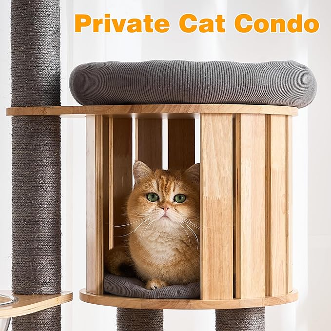 HITTITE Solid Wood Cat Tree Tower with Scratching Post, 61 Inches Tall Cat Towers with Capsule and Condo, Modern Cat Tower with Climbing Ladder and Removable Top Bed for Indoor Cats.Grey