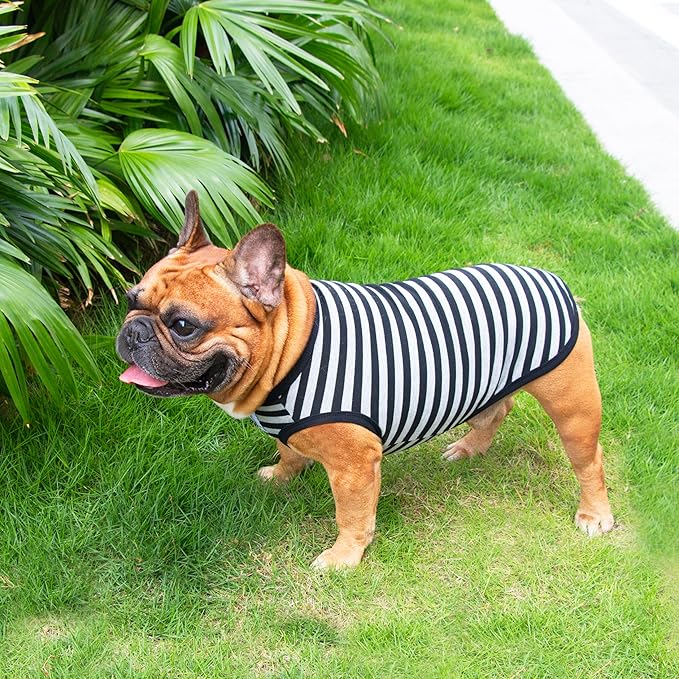 iChoue English Bulldog 100% Breathable Cotton Striped T Shirts Halloween Vest Clothes for Medium Dogs Tank Tops French Frenchie Pug Boston Terrier Pitbull Grey Black Stripes - XLarge