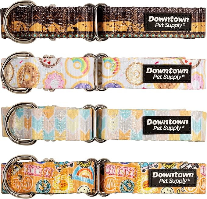 Downtown Pet Supply - Martingale Collar for Dogs - Dog Training Collar - Big, Wide & Thick Dog Collar - Escape-Proof, Weatherproof, Durable and Comfortable - Donut - Small Dog Collar