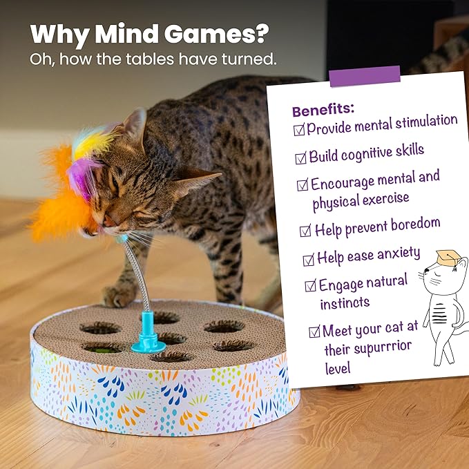 Catstages Scratch N Hunt Spring Toy, Two-in-One Cat Scratcher and Ball Puzzle Game with Feather Spring Toy, Blue