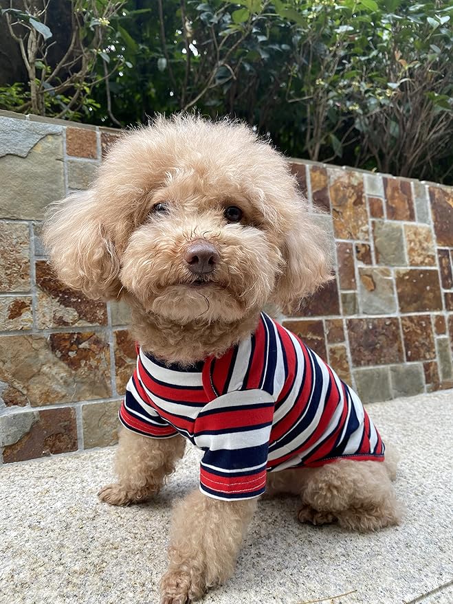 Dog Shirts Cotton Striped T-Shirt, Summer Pet Clothes for Small Dogs, 2-Pack Soft Puppy Apparel Cat Tee, Breathable Stretchy, Red Yellow XXL