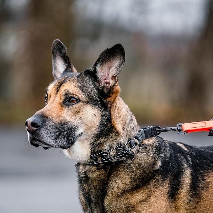 Herm. Sprenger Ultra-Plus Dog Training Prong Collar ClipOn Buckle German Made Black Stainless Steel (3.2 mm x 20" Neck Size; 17" Chain Length)