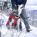 Kurgo Loft Dog Jacket - Reversible Cozy Coat for Outdoor Adventures - Water Resistant - Athletic Fit - Machine Washable Fabric - Reflective Dog Gear - X-Small - Chili Red