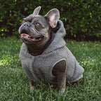 Tuff Pupper Fleece Dog Hoodie Sweater | Teddy Sherpa Outer & Soft Polar Fleece Lining | Adjustable Fit Winter Coat with Hood, Leash Hole, Ribbed Cuffs | for Small Medium Large XL XXL Dogs (Grey, S)