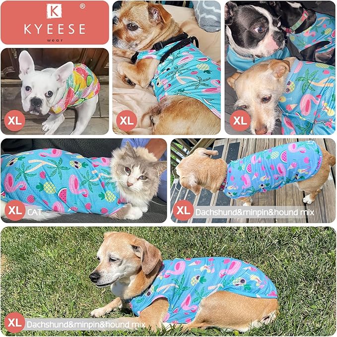 KYEESE 2Pack Dog Shirt, Lightweight Sun Protection Dog T Shirts for Small Medium Dogs Boy Girl, Breathable Mesh Tank Top Sleeveless Pet Reflective Vest, Soft Summer Dogs Clothes, Flamingo+Blue, XL