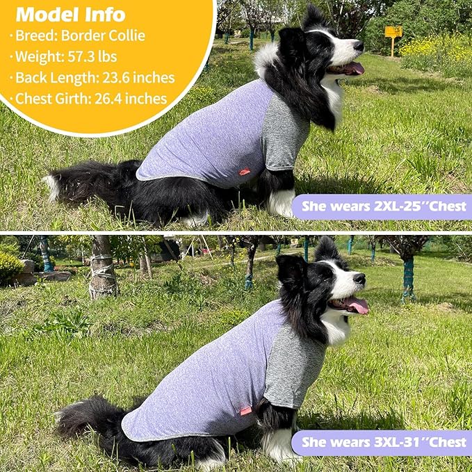 KYEESE 2Pack Dog Shirt with Sleeves, Lightweight Sun Protection Dog T Shirts for Medium Large Dogs, Breathable Pet Tank Top Reflective Dogs Clothes for Summer Outdoor Walking, Purple+Grey, 2XL