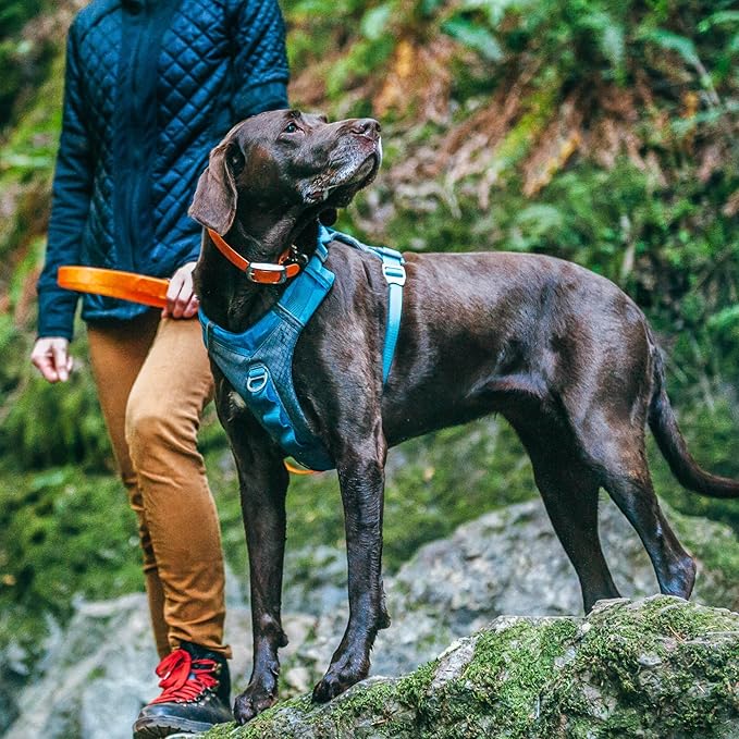 Kurgo Journey Air Dog Harness - Secure Fit for Active Dogs - Padded Chest - Lightweight Ripstop Fabric - Breathable Mesh - Reflective Trim - Back Assist Handle - Blue - Medium