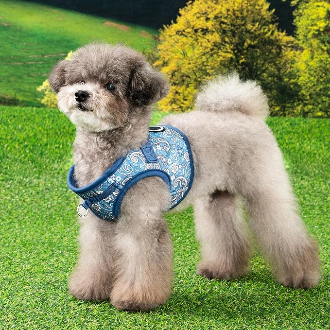 Puppia Cynthia Dog Vest Harness B (Step-in) Fashionable Paisley Pattern Spring Summer Harness for Small and Medium Dogs, Blue, Small