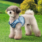 Puppia Cynthia Dog Vest Harness B (Step-in) Fashionable Paisley Pattern Spring Summer Harness for Small and Medium Dogs, Blue, Large