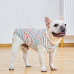 Dog Shirts Vest Cotton Striped T-Shirt, Sleeveless Stretchy Pet Clothes for Small Dogs, 2-Pack Soft Breathable Puppy Tank Top Cat Tee (Small, Pink,Rose)