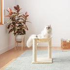 Amazon Basics Cat Tower with Hammock Bed and Scratching Post for Indoor Cats, Easy to Assemble, Interactive Hanging Ball, 15.8" x 15.8" x 19.7", Beige