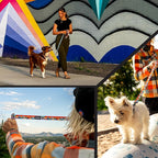 Wolfgang Heavy Duty Dog Leash, Pull-Tested for Walking & Training, MountainVibes Print, Small
