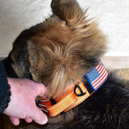 2-Inch Wide Tactical Dog Collar with Control Handle, Adjustable for Medium & Large Dogs, Military Style with Heavy-Duty Metal Buckle, USA Flag Patch & Customizable Name Plate, Training & Everyday Use