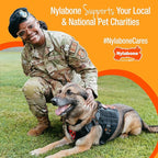 Nylabone Cheese Bone Power Chew Toy for Dogs, Cute Dog Toys for Aggressive Chewers, Cheese Flavor, Medium Dogs - Up to 35 lbs, 1 Count