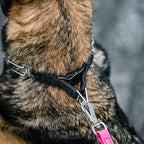 Herm. Sprenger Ultra-Plus Dog Training Prong Collar ClipOn Buckle German Made Stainless Steel (2.25 mm x 13" Neck Size; 16" Chain Length)