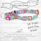 Lucky Love Dog Martingale Collar, Premium No Slip Martingale Collar for Medium Dogs, Great for Whippets, Greyhounds, and More (Caroline, Medium)