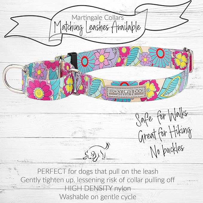Lucky Love Dog Martingale Dog Collar - Adjustable, No-Slip, Durable, & Soft Webbing Collar for Male and Female Dogs Ideal for Training & Walking - Caroline, Small