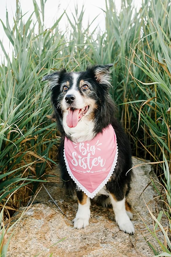 Big Sister Dog Bandana for Pregnancy Announcement, Handkerchief and/or Scarf Accessory for Dog, Warm Pink Color, Fits Medium to Large Dogs, Gender Reveal Prop for Expecting Mothers
