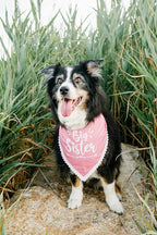 Big Sister Dog Bandana for Pregnancy Announcement, Handkerchief and/or Scarf Accessory for Dog, Warm Pink Color, Fits Medium to Large Dogs, Gender Reveal Prop for Expecting Mothers