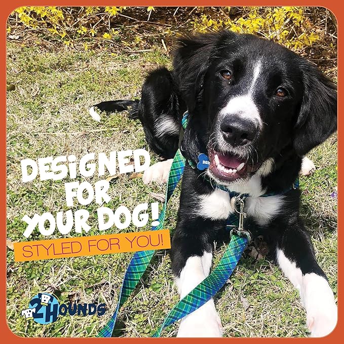 2 Hounds Design - Freedom No-Pull Harness & Training Leash in Green and Blue | Dual Leash Loops, No Pulling on Walks | Lined to Prevent Chaffing | for Large Sized Dogs (Size L, Chest 28”- 32”)