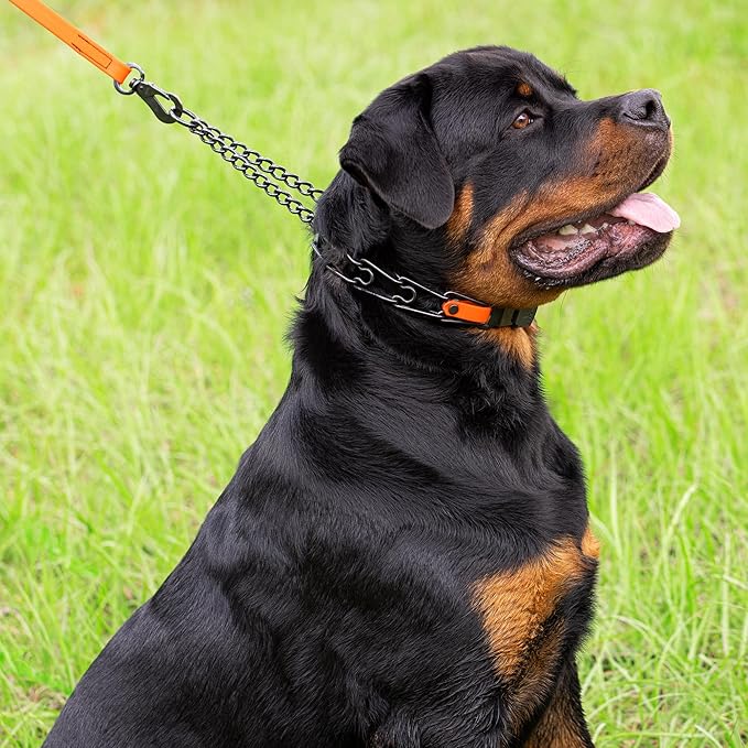 Herm Sprenger Black Stainless Steel Dog Collar with Quick Release ClicLock Buckle O-Ring Biothane Insert Training Collar Made in Germany (Hunter Orange, 23in x 3.2mm(Neck Size up to19-20in))