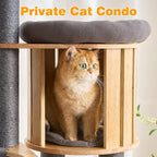 HITTITE Solid Wood Cat Tree Tower with Scratching Post, 61 Inches Tall Cat Towers with Capsule and Condo, Modern Cat Tower with Hammock and Removable Top Bed for Indoor Cats.Grey