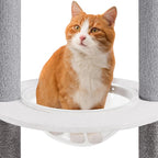 Yaheetech Floor to Ceiling Cat Tree, Cat Climbing Tower with 95-103In Adjustable Height and 6 Scratching Posts, Sturdy Platforms, Multi-Level Window Perches