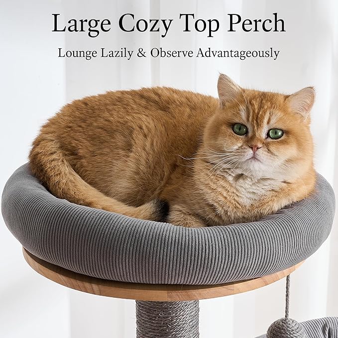 797Audio Wood Modern Cat Tree, 61.5" Tall Cat Tower with Sisal Scratching Posts, Cat Condo, Capsule and Ladder, Solid Wooden Aesthetic Multi-Level Cat Climbing Tree for Large Adult Indoor Cats-Gray