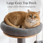 797Audio Wood Modern Cat Tree, 61.5" Tall Cat Tower with Sisal Scratching Posts, Cat Condo, Capsule and Ladder, Solid Wooden Aesthetic Multi-Level Cat Climbing Tree for Large Adult Indoor Cats-Gray