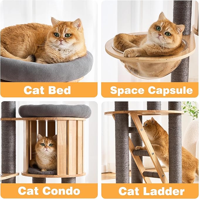 HITTITE Solid Wood Cat Tree Tower with Scratching Post, 61 Inches Tall Cat Towers with Capsule and Condo, Modern Cat Tower with Climbing Ladder and Removable Top Bed for Indoor Cats.Grey