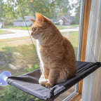 Cat Window Perch - Cat Window Hammock with Strong Suction Cups and Removable Machine Washable Oxford Cloth Cat Bed for Large Cats by PETMAKER (Black)