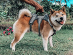 Tuff Pupper Escape Proof No Escape Dog Harness | 5 Point Adjustable Fit Harness for Dogs | Padded Dog Harnesses | Handle Dog Lift Harnesses