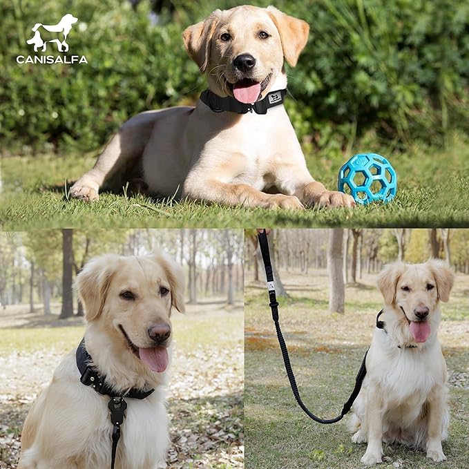 Tactical Dog Collar for Medium & Large Dogs – Heavy Duty Adjustable Nylon Collar with Control Handle, Quick-Release Metal Buckle & D-Ring – Comfortable, Durable Training Collar for All Dog Breeds