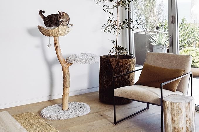 Mau Lifestyle Gray Uni Cat Tree, 43" H, 27 LBS, Grey/Gray