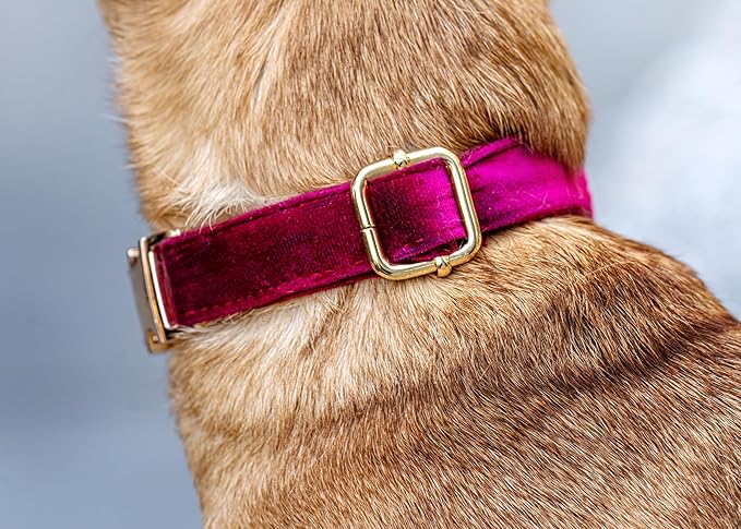Dog Training Collar,Non-Shock Luxury Bark Collar-Adjustable Fit, No Shock for Small,Medium,Large Dogs, Advanced Technology with Remote, Automatic Bark Collar, Rechargeable, Anti-Barking,Red