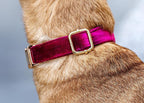 Dog Training Collar,Non-Shock Luxury Bark Collar-Adjustable Fit, No Shock for Small,Medium,Large Dogs, Advanced Technology with Remote, Automatic Bark Collar, Rechargeable, Anti-Barking,Red
