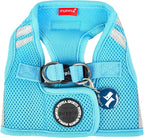 Puppia Soft Vest Dog Harness No Choke Step-in Reflective Triple Layered Breathable Mesh for Small and Medium Dog, Sky Blue, Small