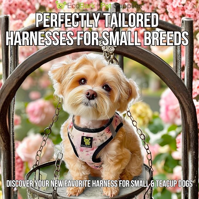 EcoBark Step in Dog Harness - Eco-Friendly Small Breed Dog Harnesses for XXS, XS, & Small Dogs - Reflective and Adjustable Mini Body Halter Vest - Soft Mesh Toy Breed Harness (Floral, XS)