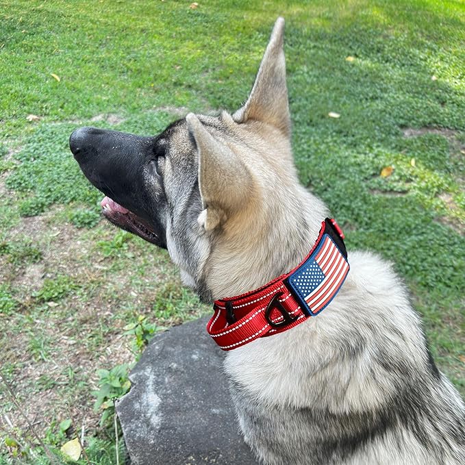 2-Inch Wide Tactical Dog Collar with Control Handle, Adjustable for Medium & Large Dogs, Military Style with Heavy-Duty Metal Buckle, USA Flag Patch & Customizable Name Plate, Training & Everyday Use
