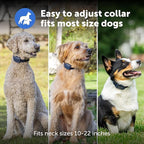 PetSafe Core Dog Trainer with Remote - Effective Dog Training - 15 Levels of Static Correction - Waterproof Collar - Rechargeable Training Collar - Compact Remote Transmitter