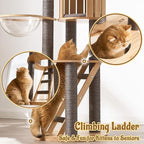 Modern Cat Tree Tower with Scratching Post, 61.5in Tall Cat Tree for Indoor Cats, Multi-Level Solid Wood Cat Furniture with Ladder, Cozy Cat Beds, Cat Condo, Capsule Nest, Dangling Toy, Gray