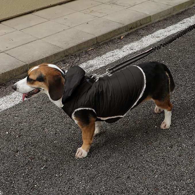 Fleece Lining Dog Hoodie with Harness Built in,Extra Warm Small Dog Jacket in Winter Puppy Coats with Drawstring Hooded,Black M