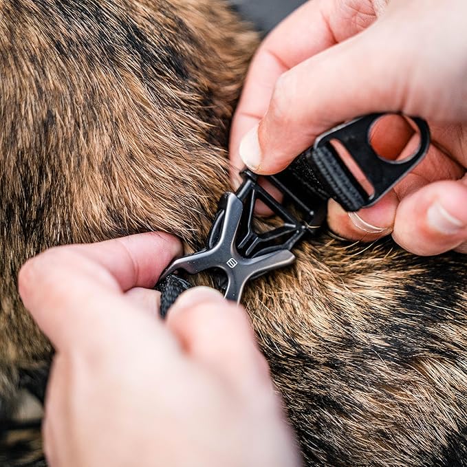 Herm. Sprenger Ultra-Plus Dog Training Prong Collar ClipOn Buckle German Made Black Stainless Steel (2.25 mm x 13" Neck Size; 16" Chain Length)