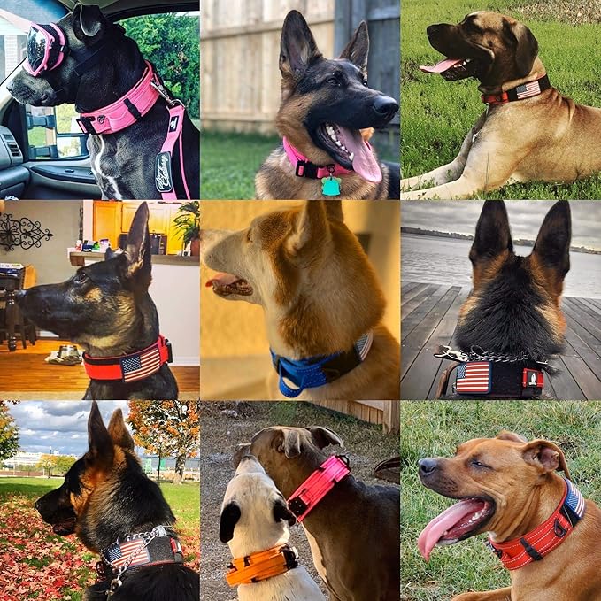 2-Inch Wide Tactical Dog Collar with Control Handle, Adjustable for Medium & Large Dogs, Military Style with Heavy-Duty Metal Buckle, USA Flag Patch & Customizable Name Plate, Training & Everyday Use