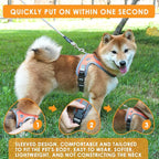 Dog Harness and Leash Set, No Pull Saddle Style Pet Harness, Breathable Mesh Adjustable Reflective Dog Vest for Dogs and Cat Medium Small Harness 2 D-Rings (Orange, XS)